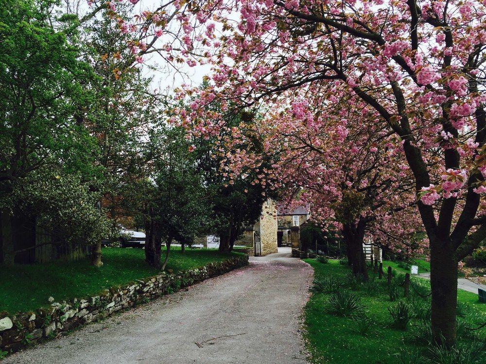 Lastingham Grange Exterior photo